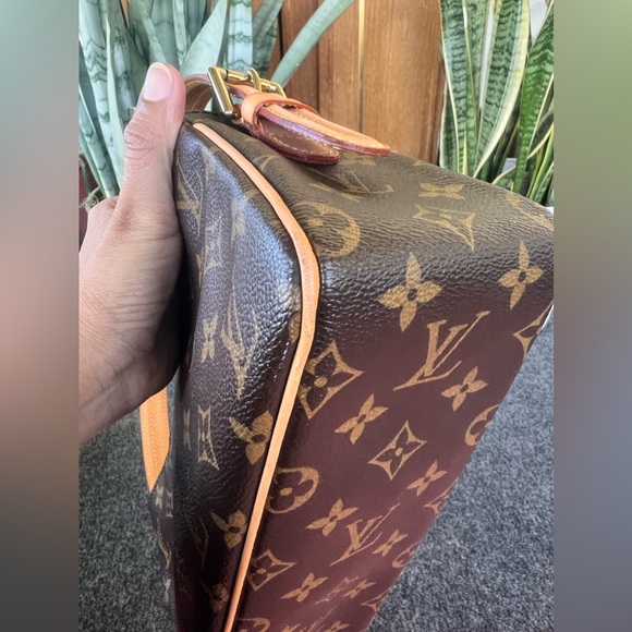 🔥🔥Louis Vuitton Viva Cite🔥🔥 - Picture 4 of 16